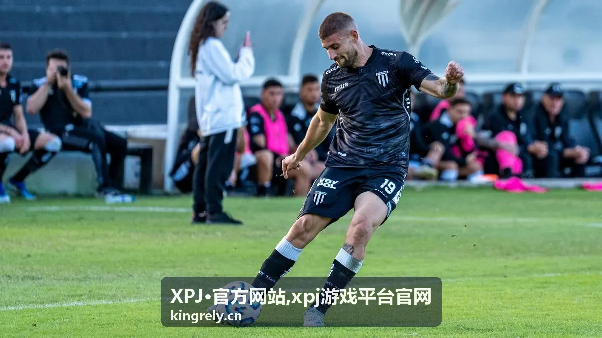 XPJ·官方网站入口说明公告封面