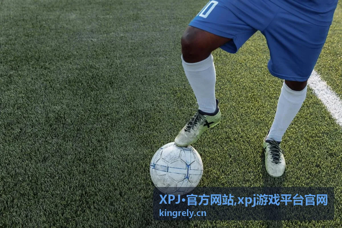 XPJ·官方网站公告动态信息