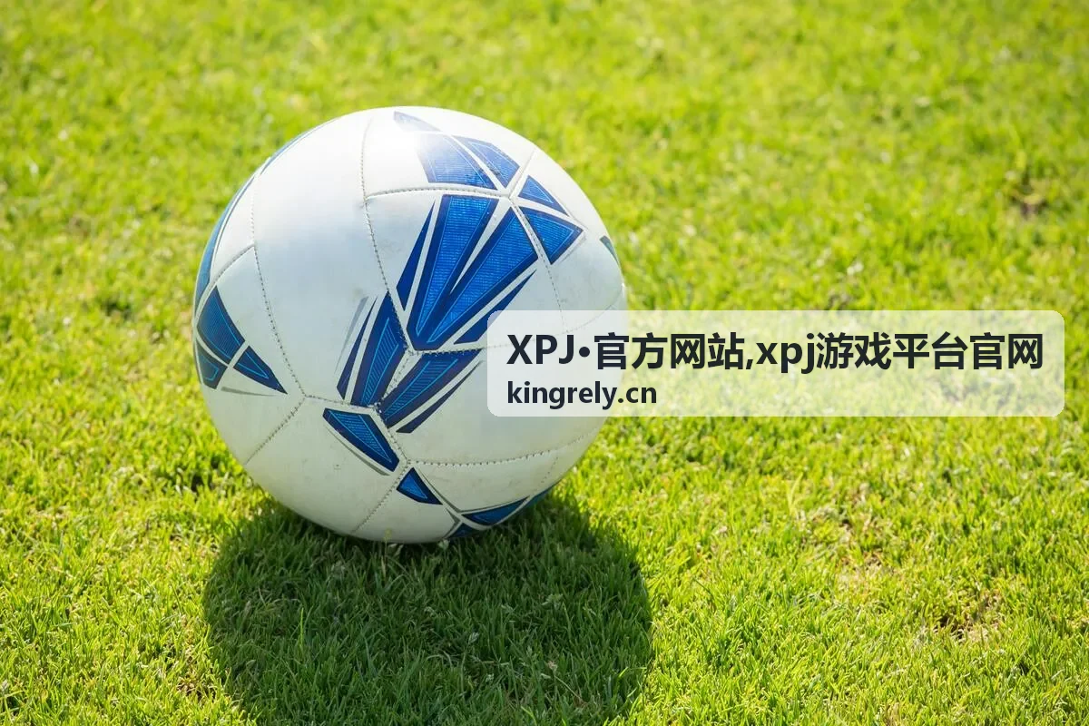 xpj游戏平台官网常见问题说明